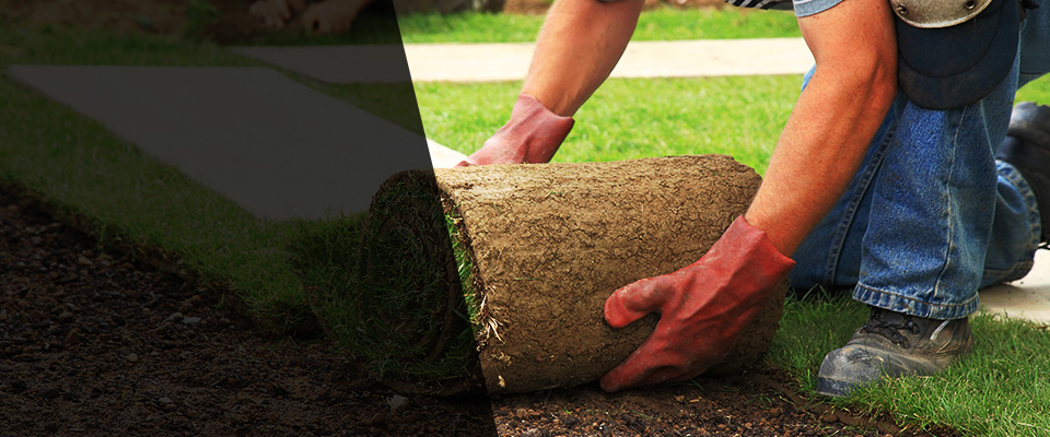 Dubach Landscapers